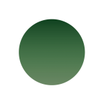 Sonnengläser – Grün 85%